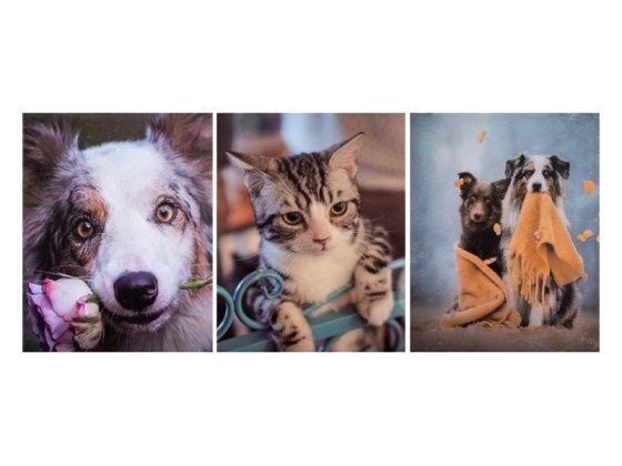 GEDEON MM462500B ADORE N